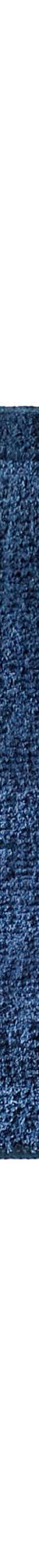 Tapis de bain qualité hôtelière 2100 g/m² (bleu) Tapis de bain qualité hôtelière 2100 g/m² (bleu)